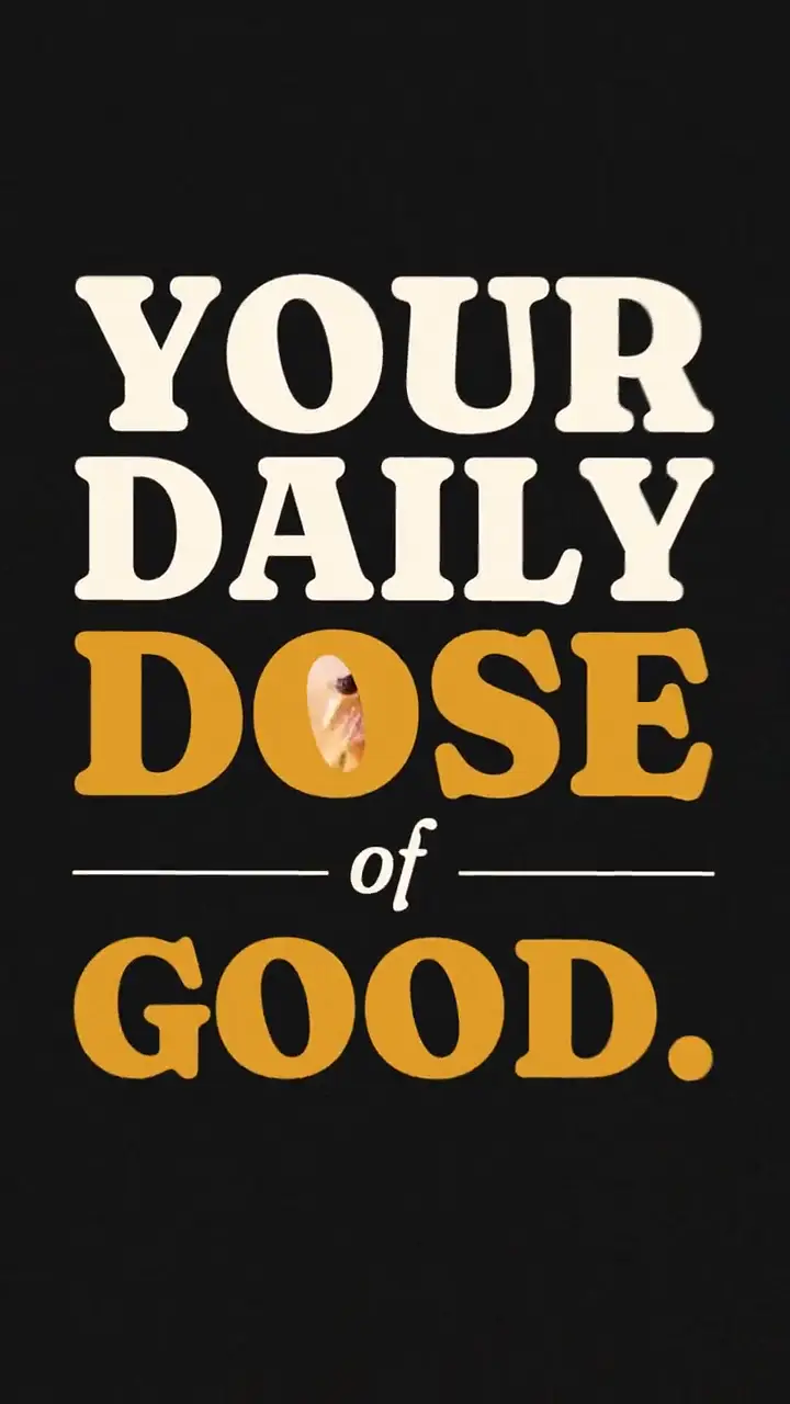 Daily Dose café reel: the words YOUR DAILY DOSE of GOOD in gold and white on black